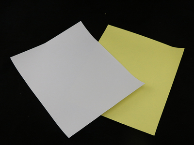 白纸黄纸 (7)-南县东辉实业有限公司